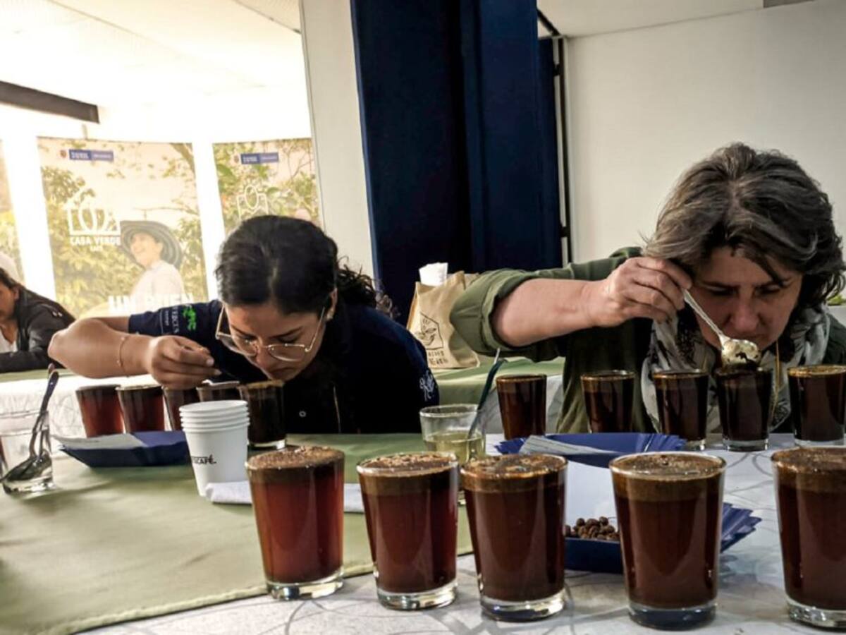 Café de Ataco será exportado a Europa, Asía y Norteamérica