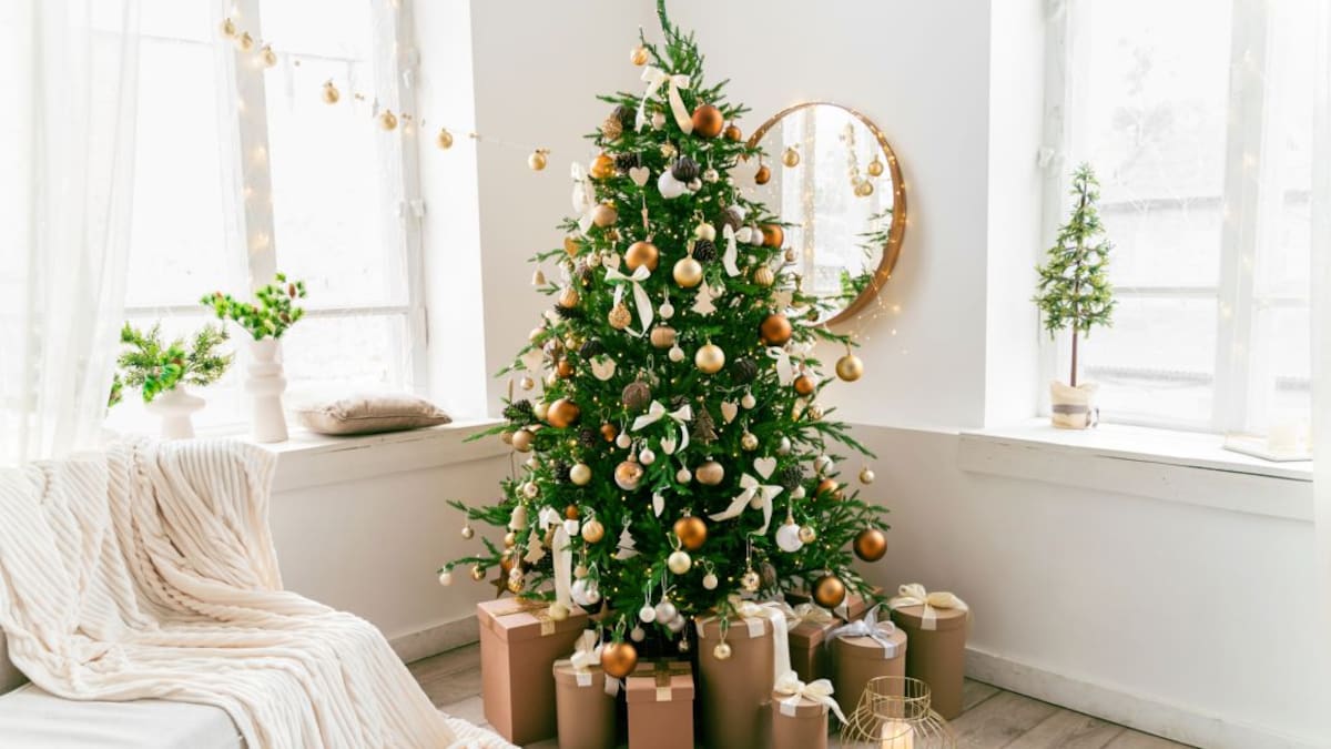Novenas de aguinaldos en Colombia: lea acá el libro completo
