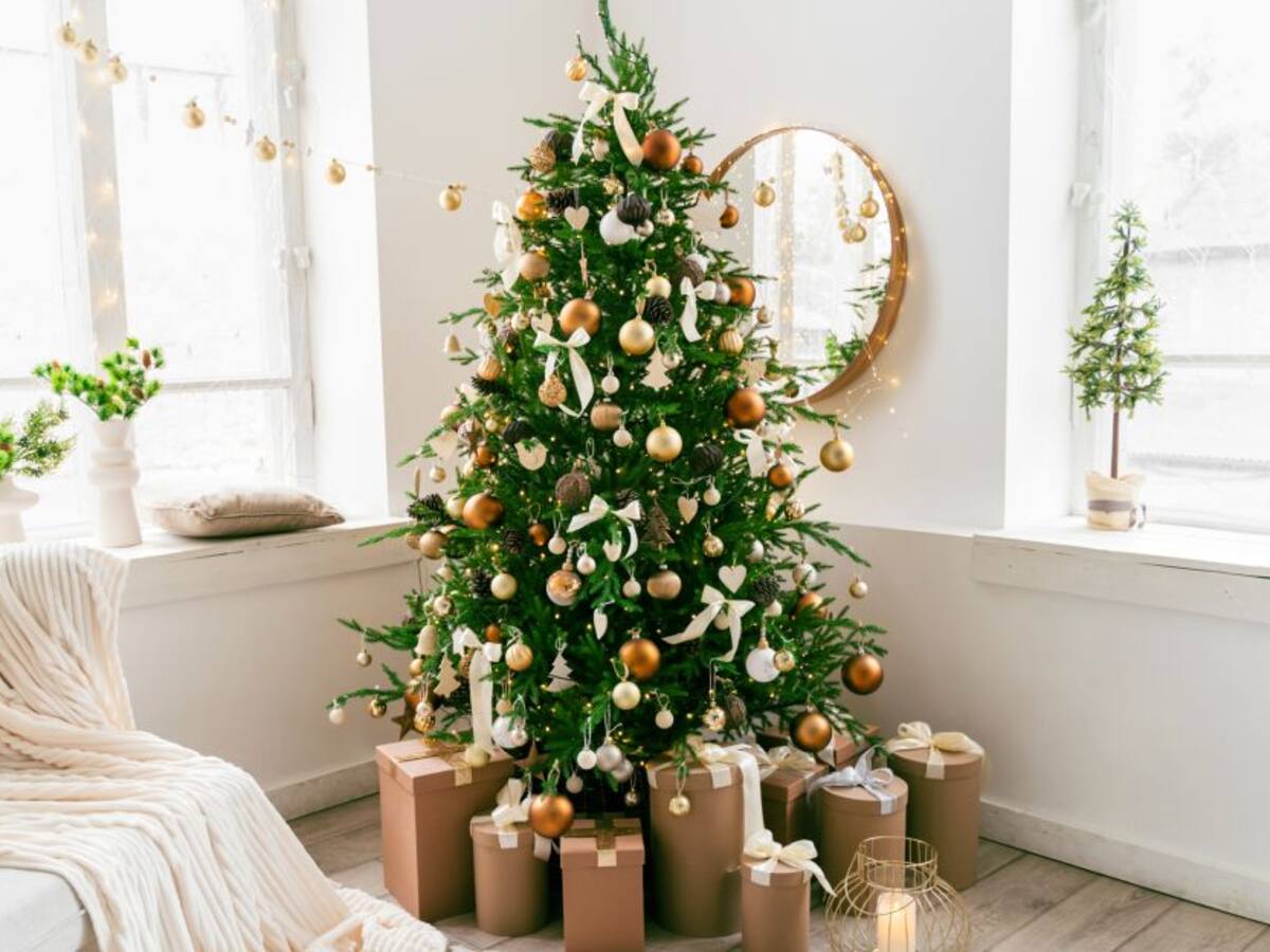 Novenas de aguinaldos en Colombia: lea acá el libro completo