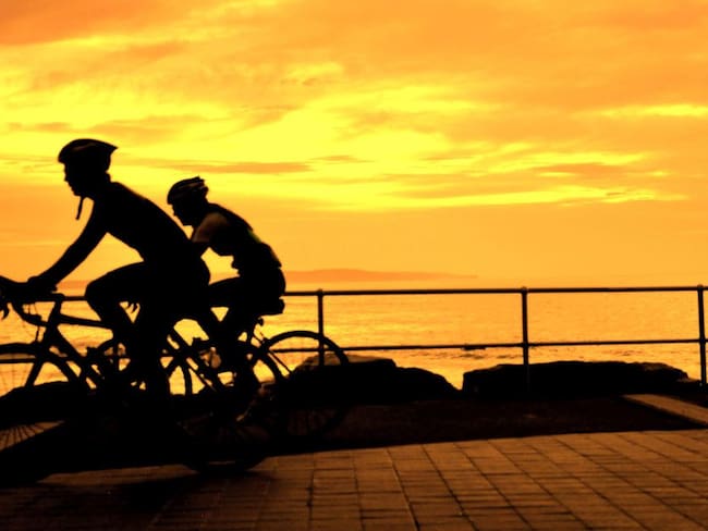 En el Día Mundial de la Bicicleta celebre el &quot;poder en dos ruedas&quot;
