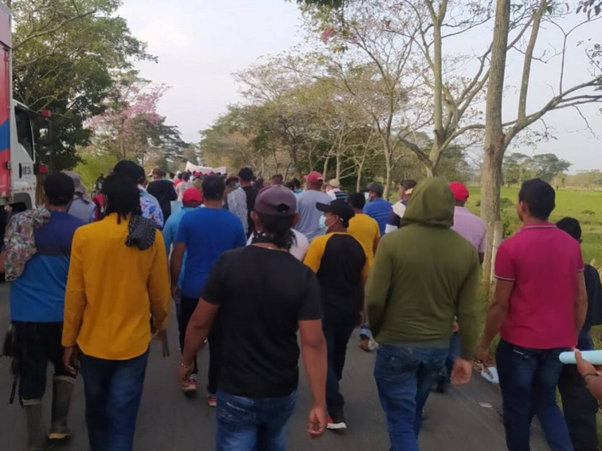 Campesinos de Córdoba exigen al Gobierno el cumplimiento del Acuerdo de Paz