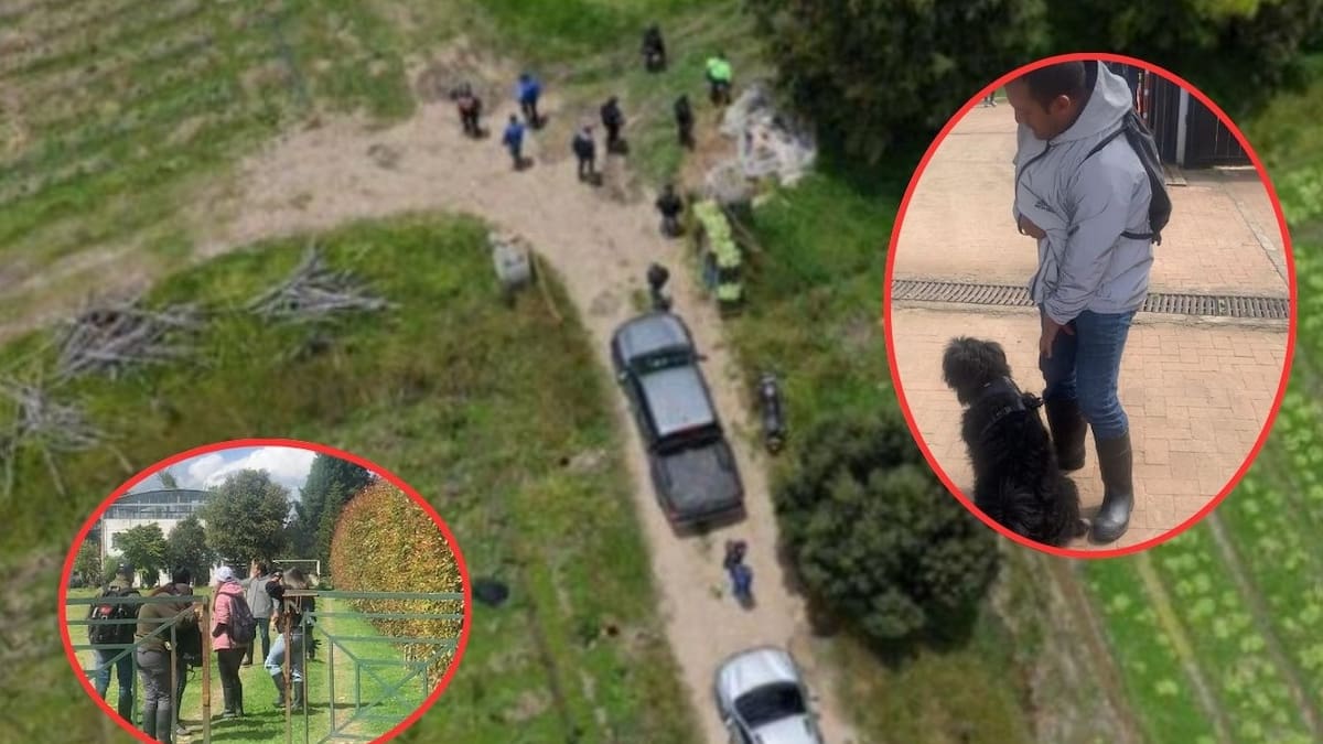 Caso Valeria Afanador: Investigarán en Cajicá a un extrabajador del colegio como presunto responsable