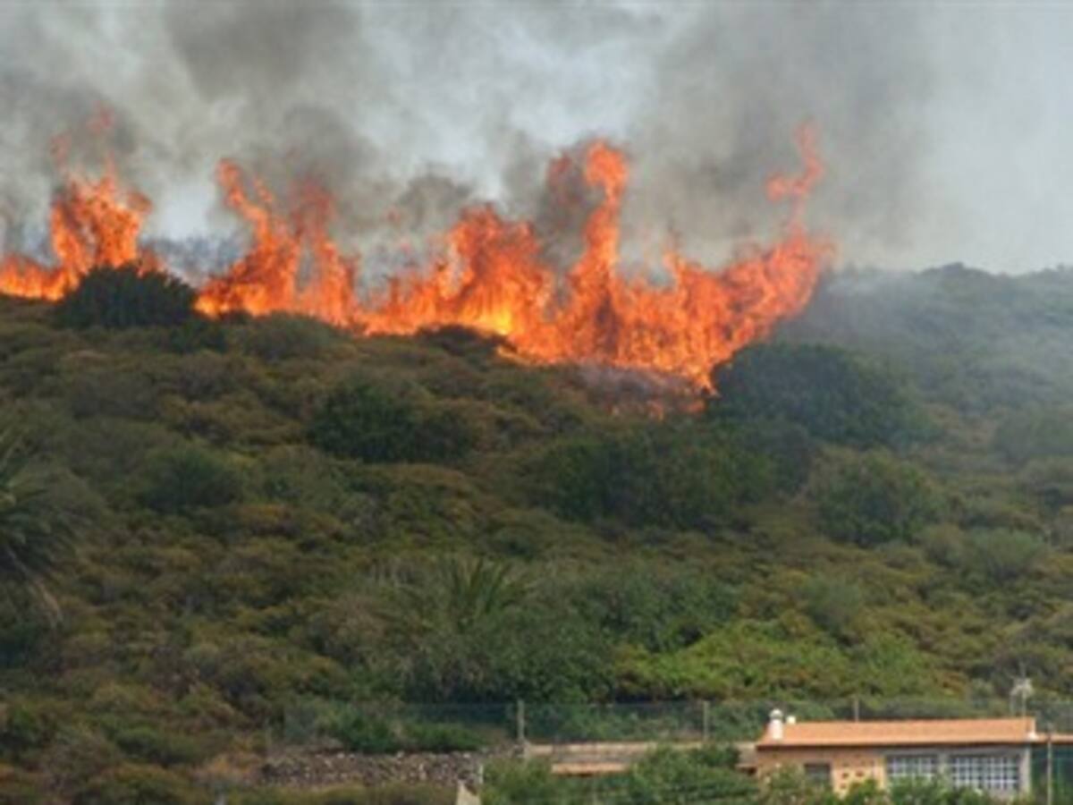 Decretada 'Alerta Naranja' por incendios
