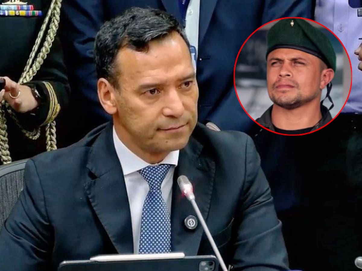 MinDefensa admitió que no hay certeza sobre muerte de ‘Marlon’ pese a anuncio de FF. MM.