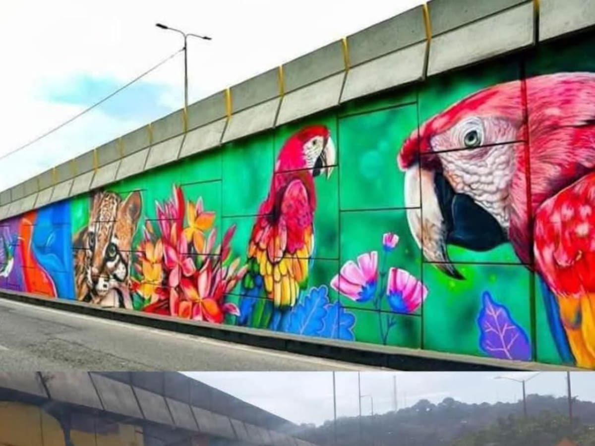 Jornada para pintar mural del puente San Mateo no contaba con permisos de la Alcaldía