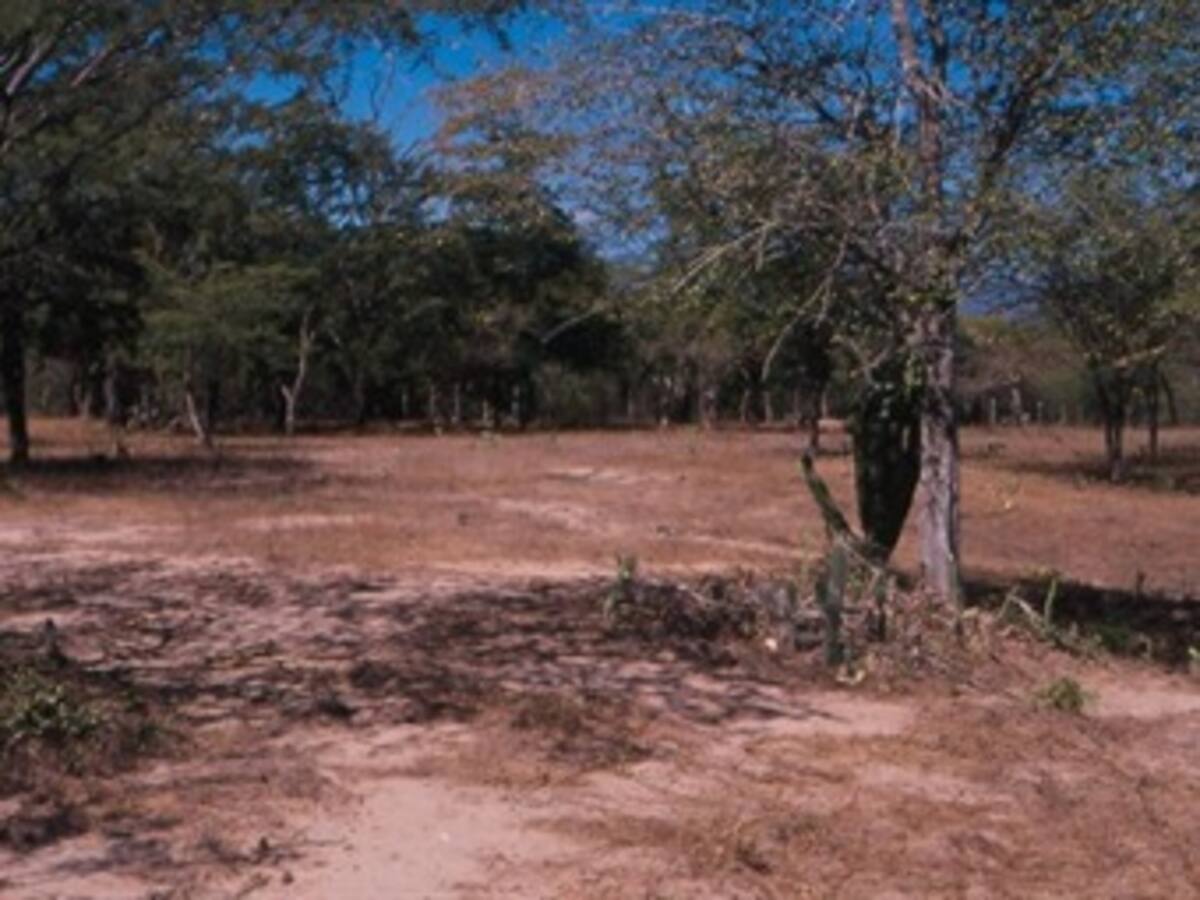 Asesinan dos personas en zona rural de Barrancas, Guajira