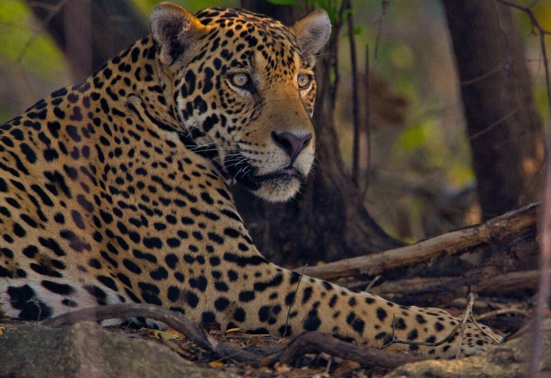 Foto de: MinAmbiente