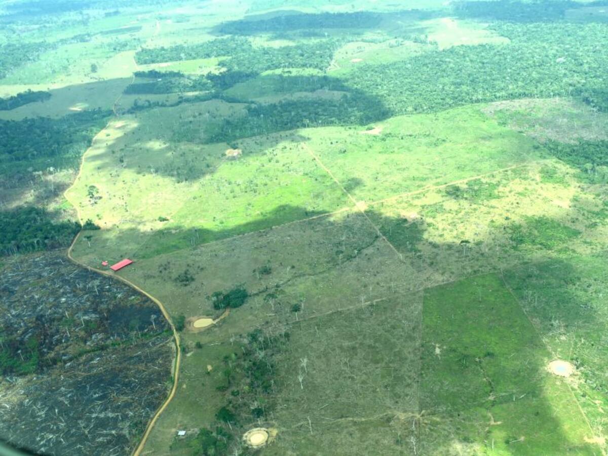 Vías irregulares en medio del bosque guaviarense