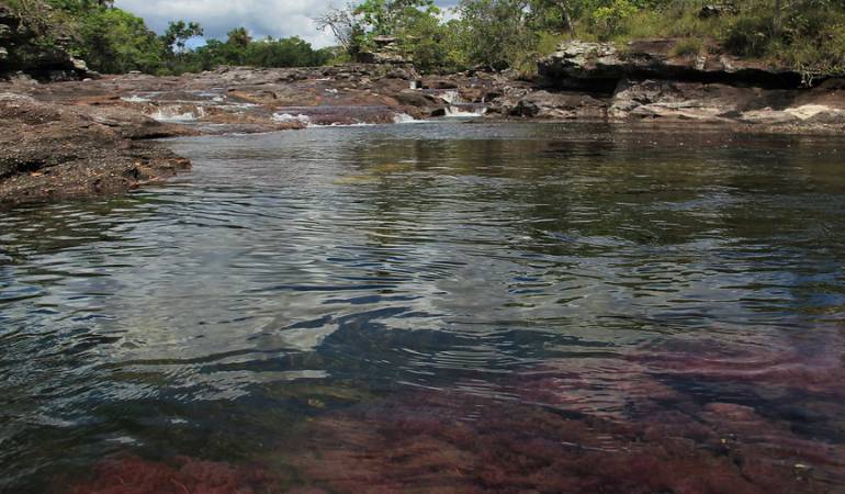 Caño Cristales