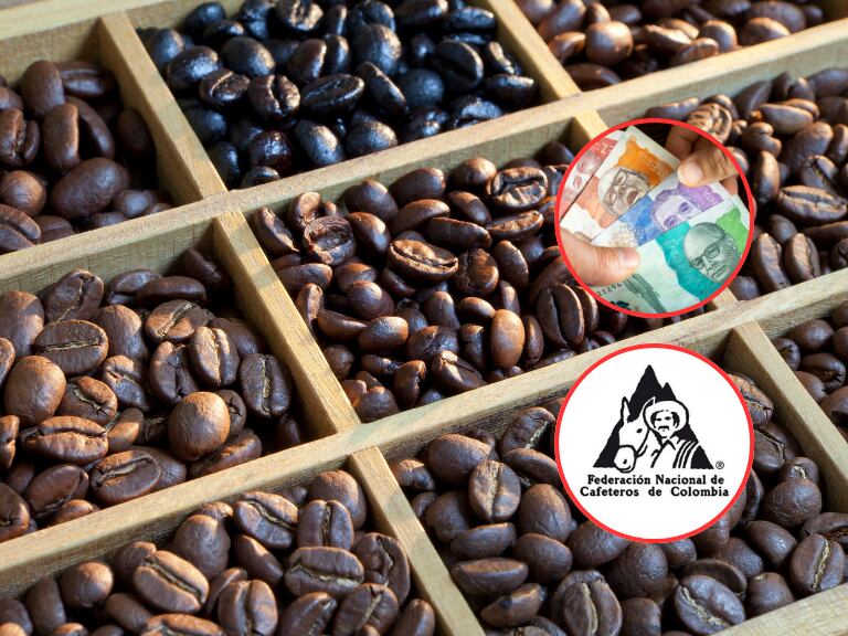 Persona con dinero colombiano en sus manos, al fondo diferentes tipos de café en grano y al lado el logo de la Federación Nacional (Fotos vía Getty Images y COLPRENSA)