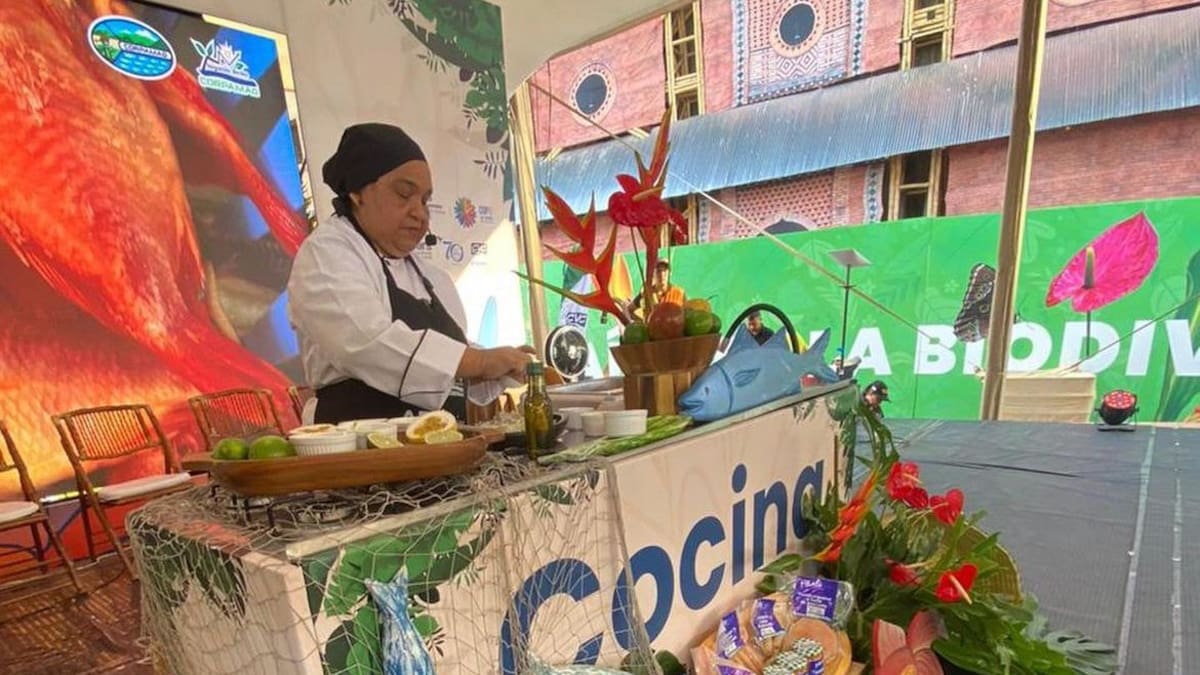 Sazón de las lideresas y emprendedores magdalenenses conquista paladares en la COP 16