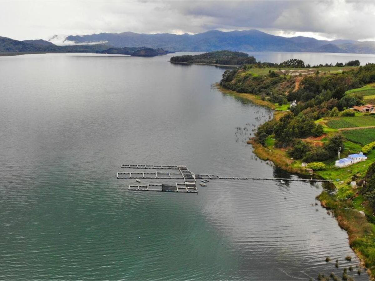 Actualización del POMCA del Lago de Tota revela importantes hallazgos