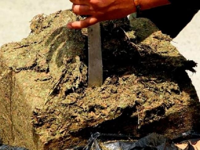 Incautan un millón de dosis de marihuana en vías de Antioquia