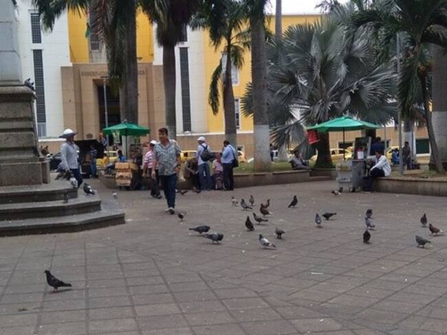 No más comida para palomas en parque García Rovira
