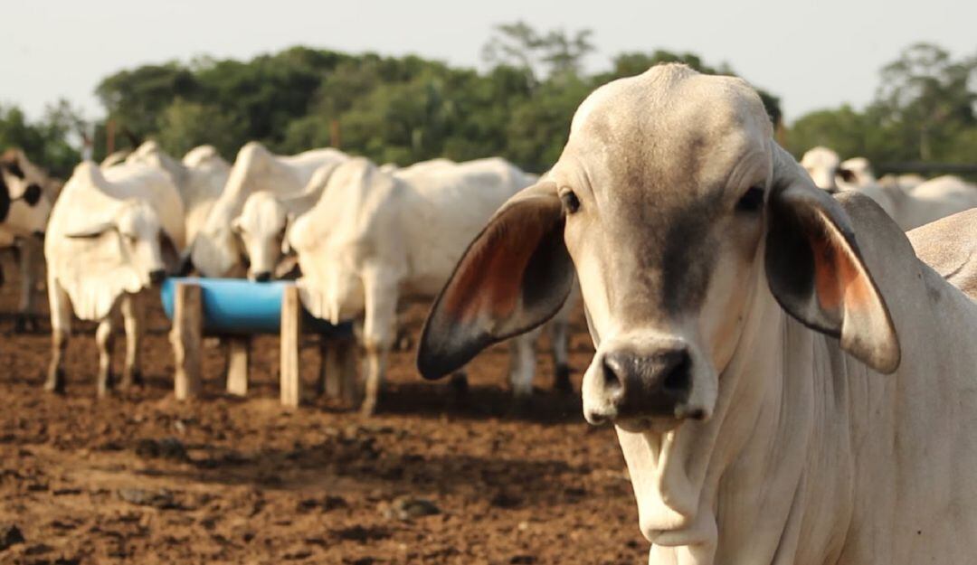 Se socializaron proyectos adelantados con el gremio y las gestiones realizadas para lograr millonarias inversiones para el gremio.
