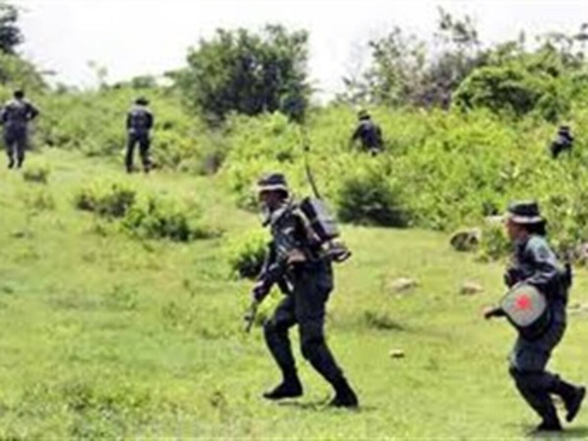 Denuncian incursión del Ejército venezolano en Colombia