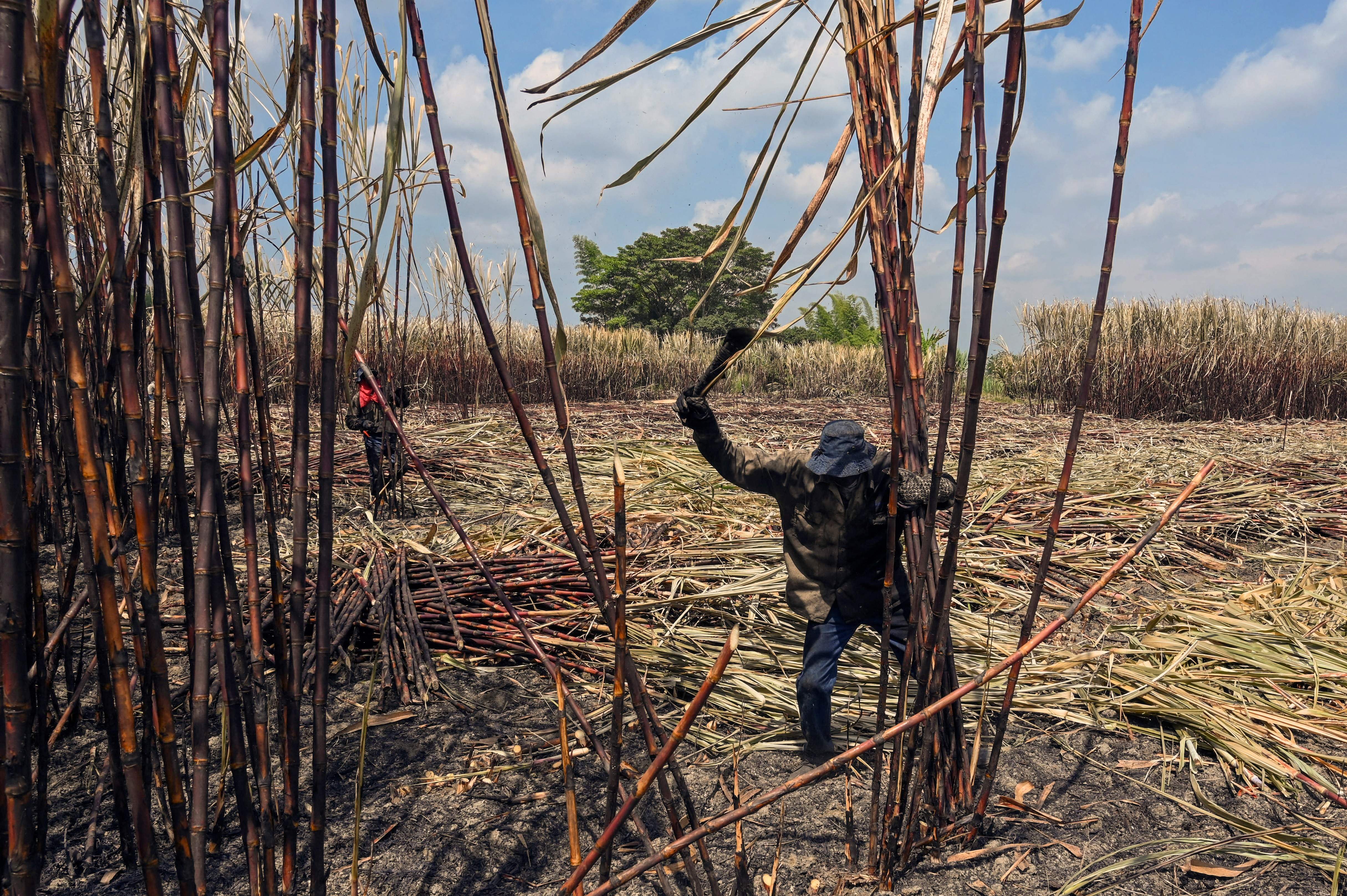 Entidad financiera de EE.UU. otorgará más de USD $22 millones para Colombia