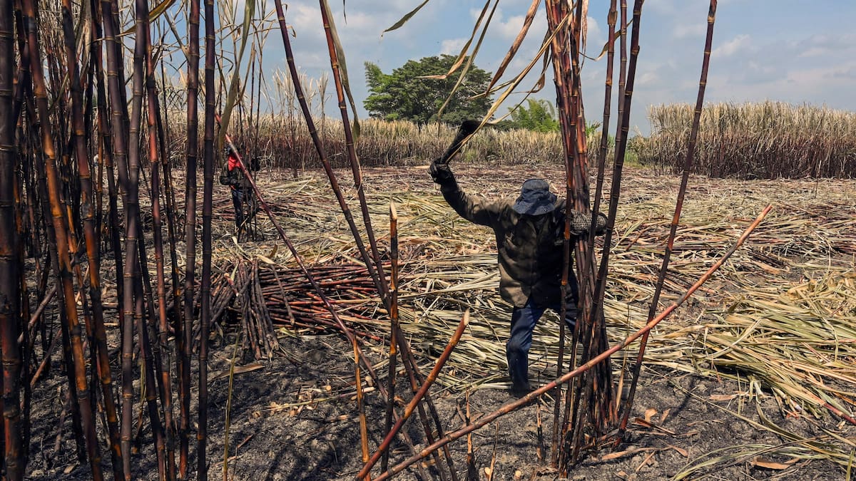 Entidad financiera de EE.UU. otorgará más de USD $22 millones para Colombia