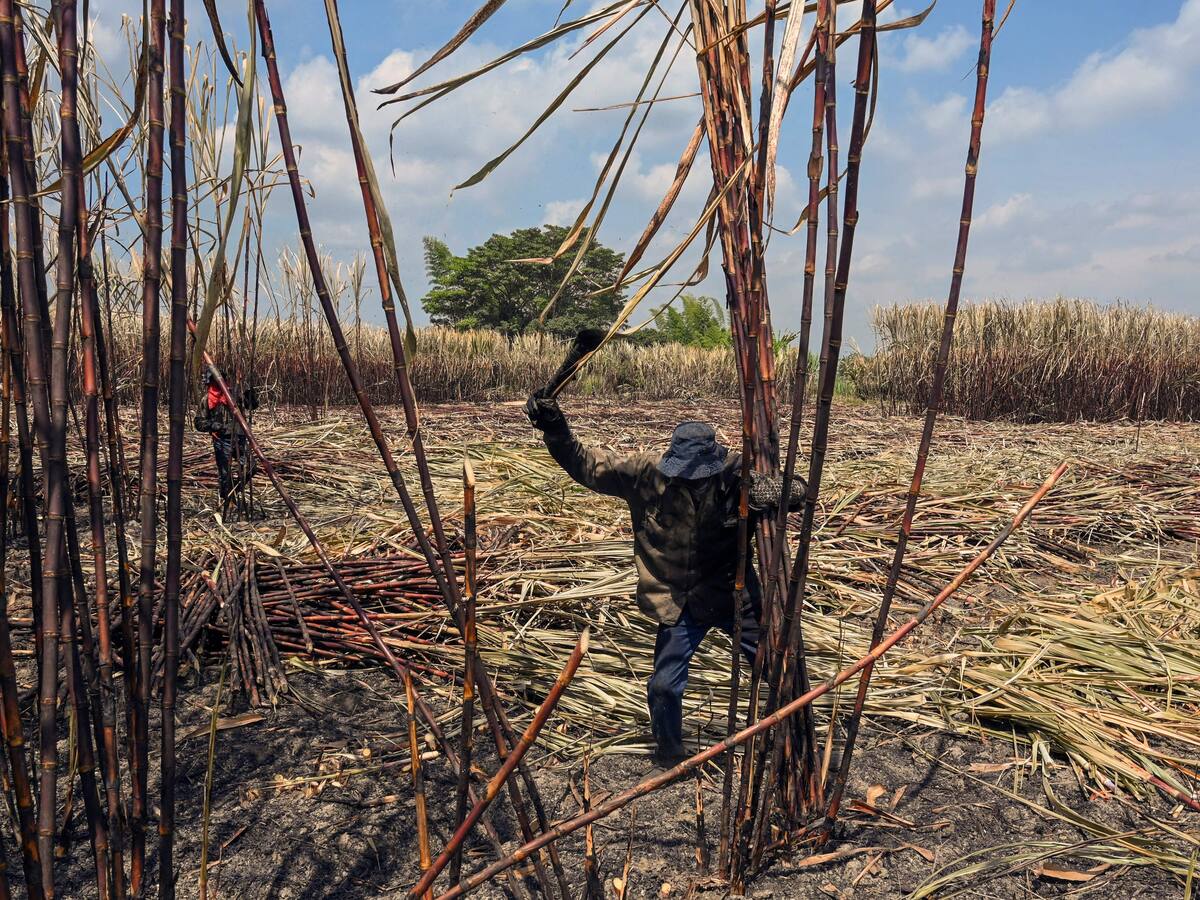 Entidad financiera de EE.UU. otorgará más de USD $22 millones para Colombia