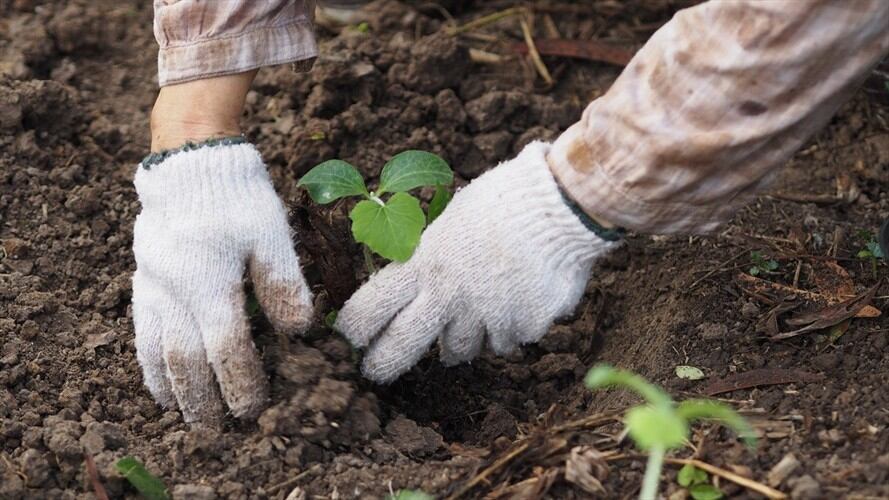 . Foto: Getty Images