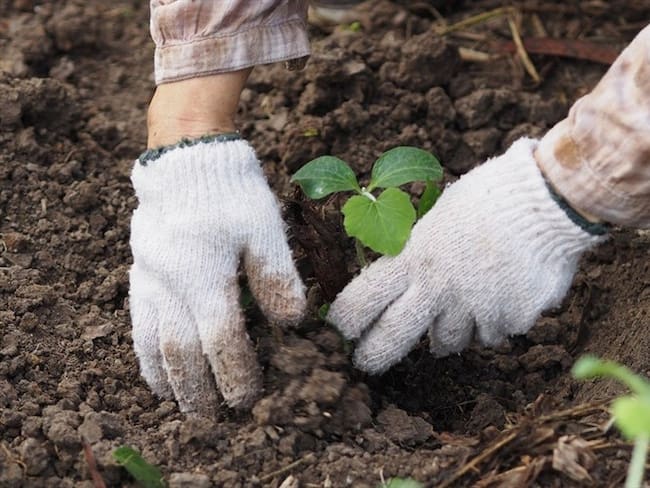 . Foto: Getty Images