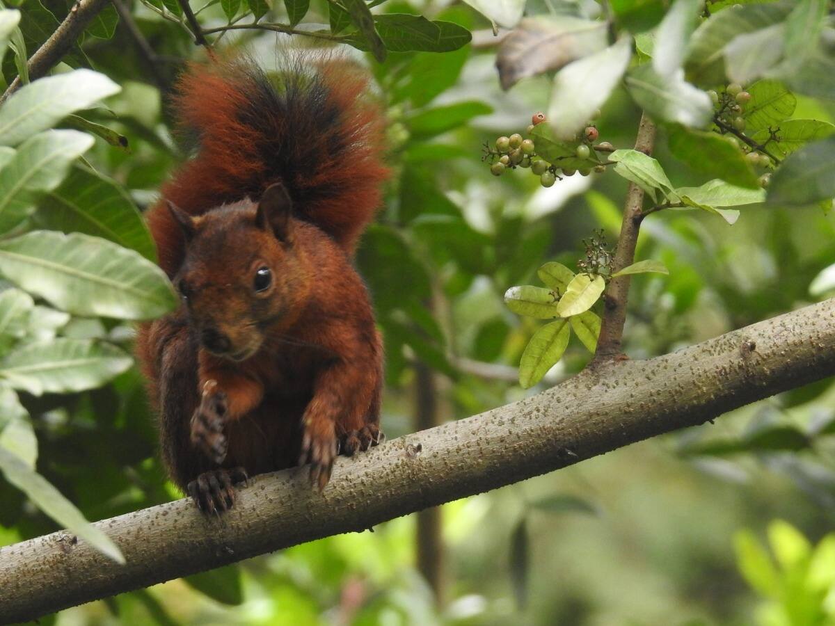 Tecnológico de Antioquia le apuesta al cuidado de los ecosistemas con acciones ambiental