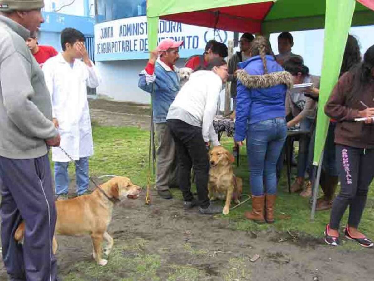 Más de 45 casos de Leishmaniasis se han confirmado en Neiva