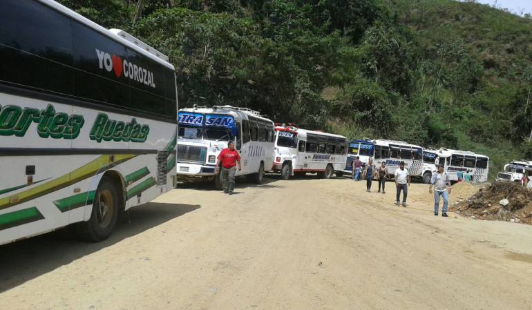 Campesinos del Catatumbo se movilizan para participar de la marcha por la paz