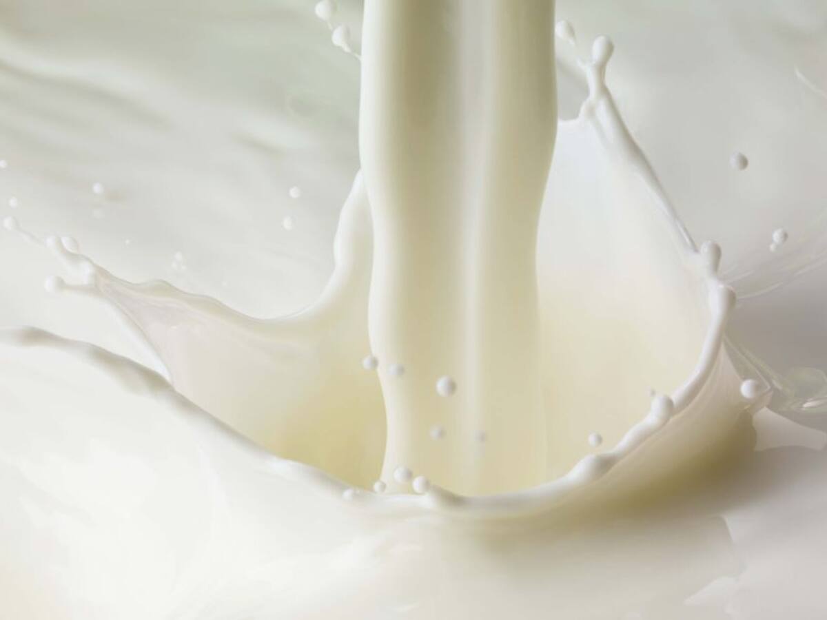 Población infantil y adultos mayores reciben 80.000 unidades de lácteos