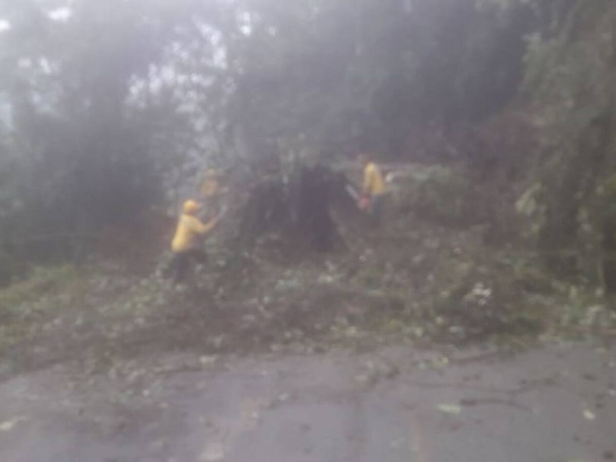 Así están las vías de Caldas por las afectaciones del invierno