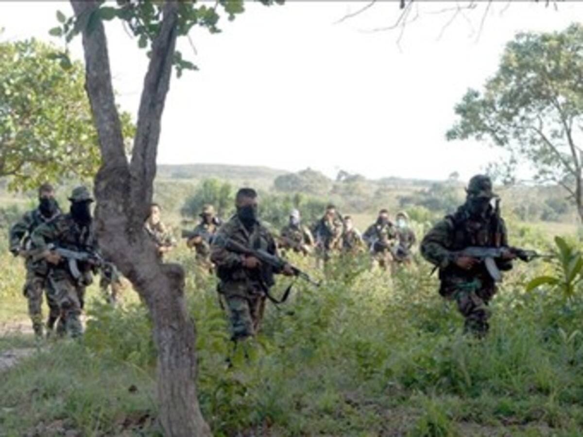 Bandas paramilitares se apoderan de los hogares y bienes de los desplazados