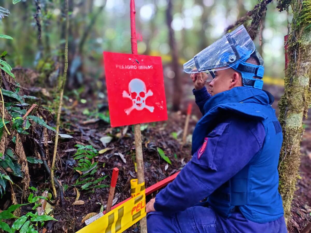 Pradera, en el Valle, es un municipio libre de sospecha de minas antipersonal