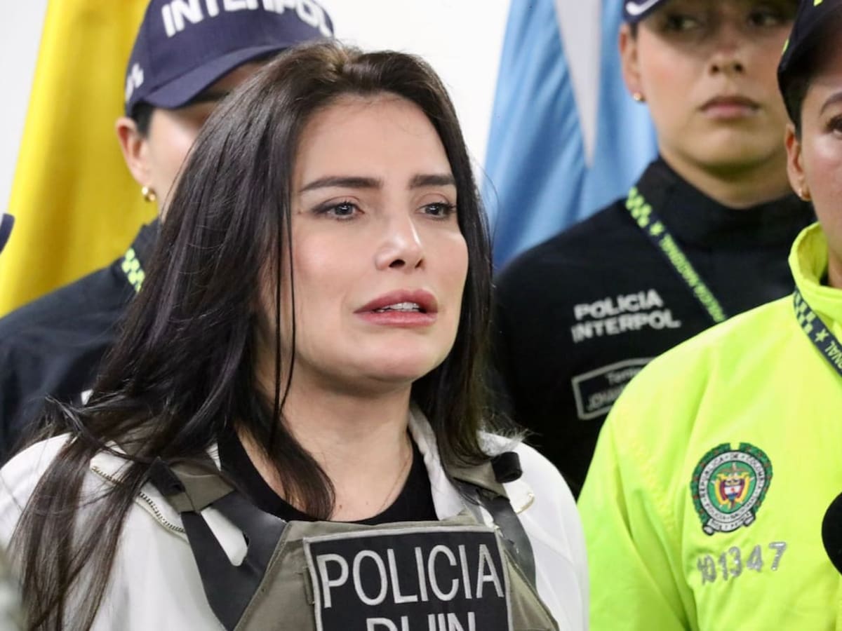 Aida Merlano aceptó el delito de fuga, tras escapar de un consultorio odontológico en 2019