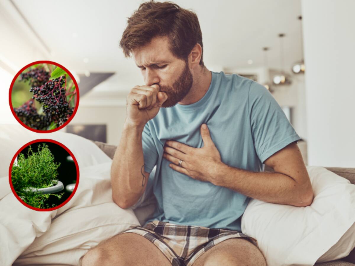 7 Hierbas Naturales que le pueden ayudar con la gripe ¿Conoce alguno?