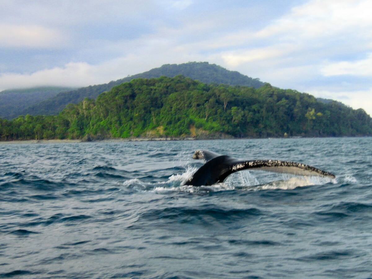 Tumaco tendrá primer Centro de Reindustrialización ZASCA de Turismo del país