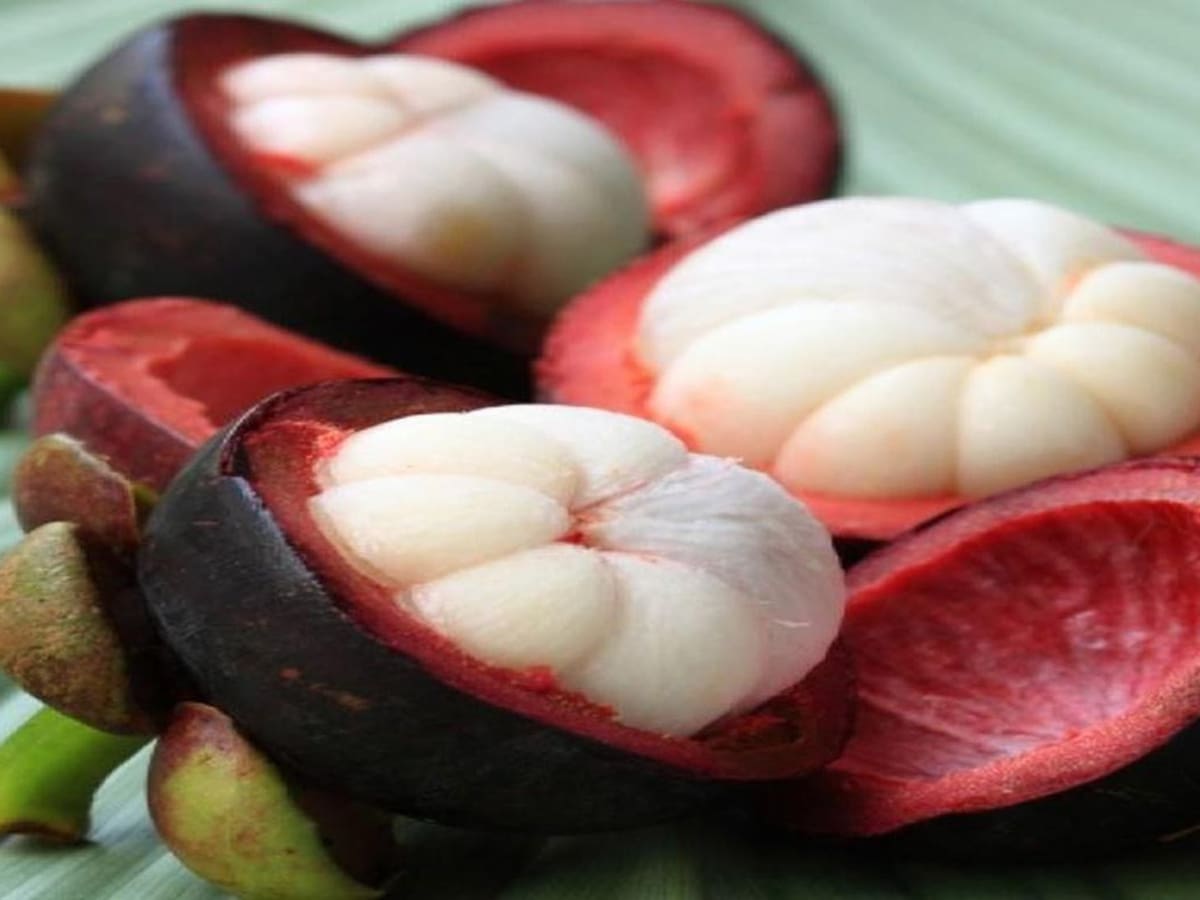 La SIC reconoce la denominación de origen al Mangostino de Mariquita, Tolima