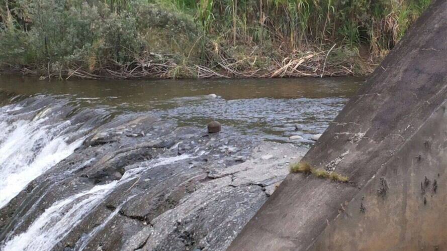 Niños jugaban con un artefacto explosivo en Caloto, Cauca. Foto: Red de Derechos Humanos del Suroccidente Colombiano