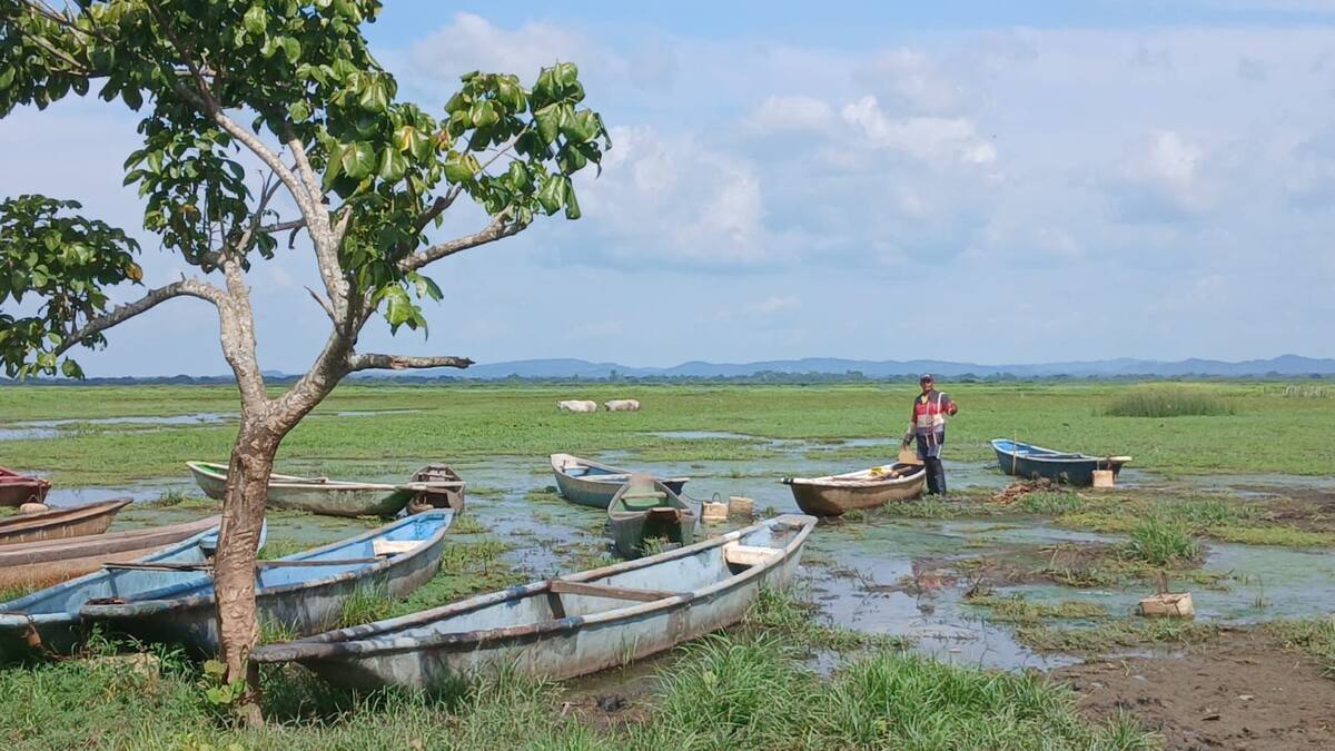 Comunidades étnicas de Bolívar se abren paso para dignificar sus derechos