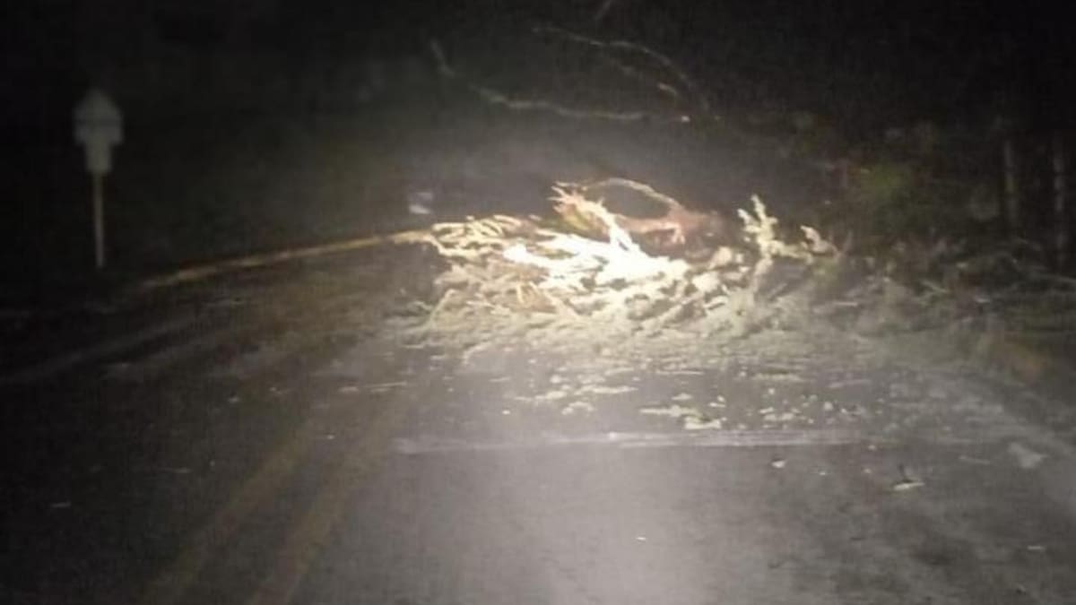 Fuertes lluvias dejan una persona herida y varias viviendas afectadas en Caldas