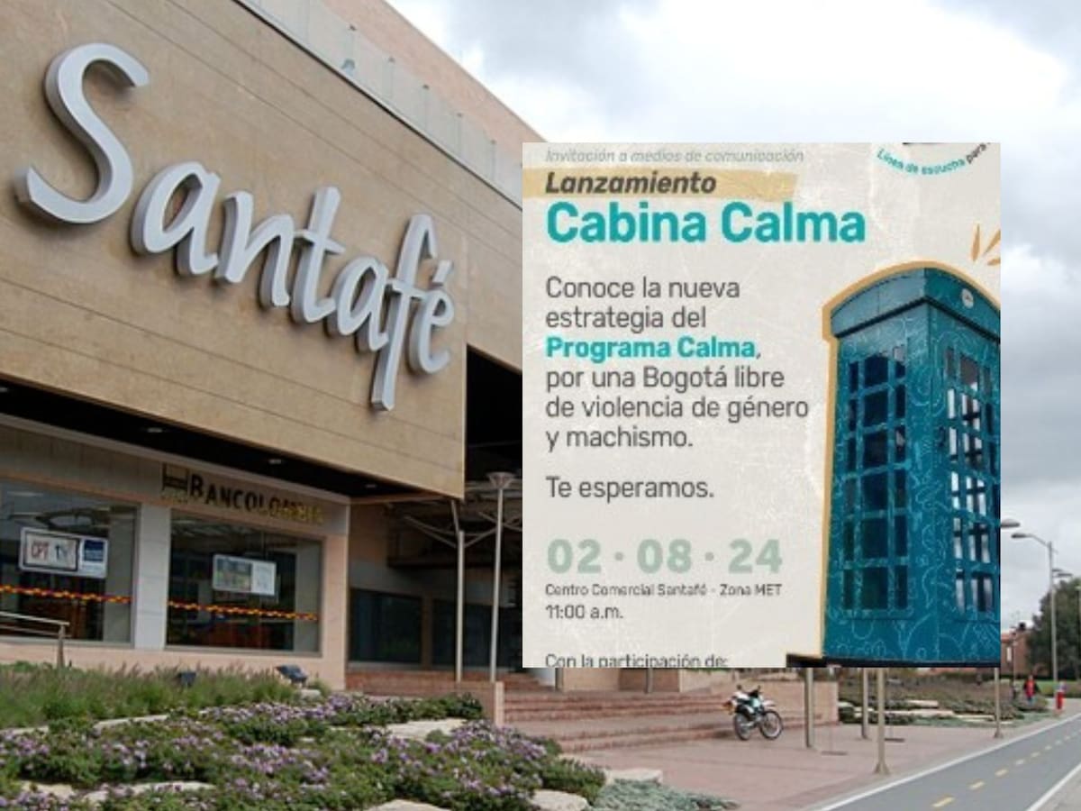 Polémica propuesta del Distrito: ¿Cabinas para desahogarse y evitar feminicidios?