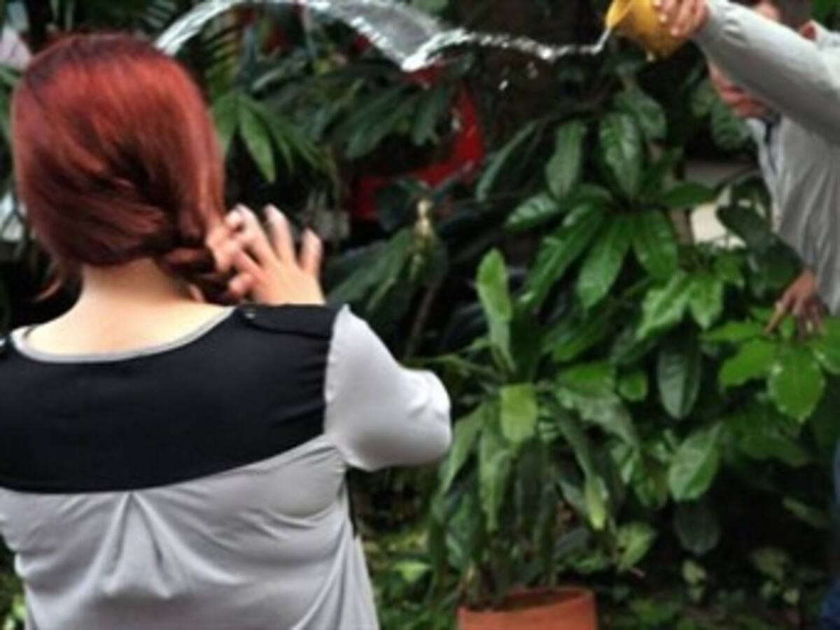 Denuncian demora en la reglamentación de ley de las víctimas del ácido
