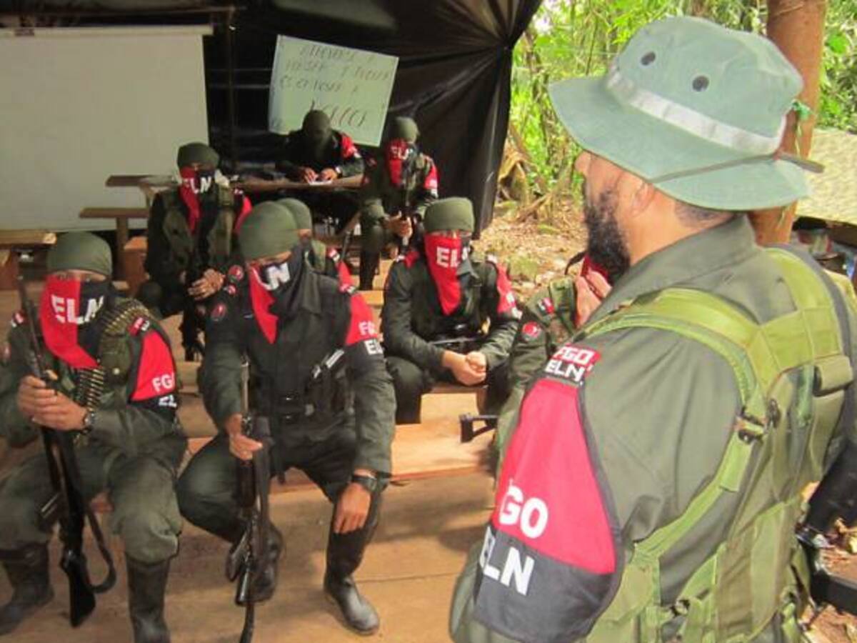El 30% de los laboratorios de cocaína destruidos este año eran del Eln: Policía