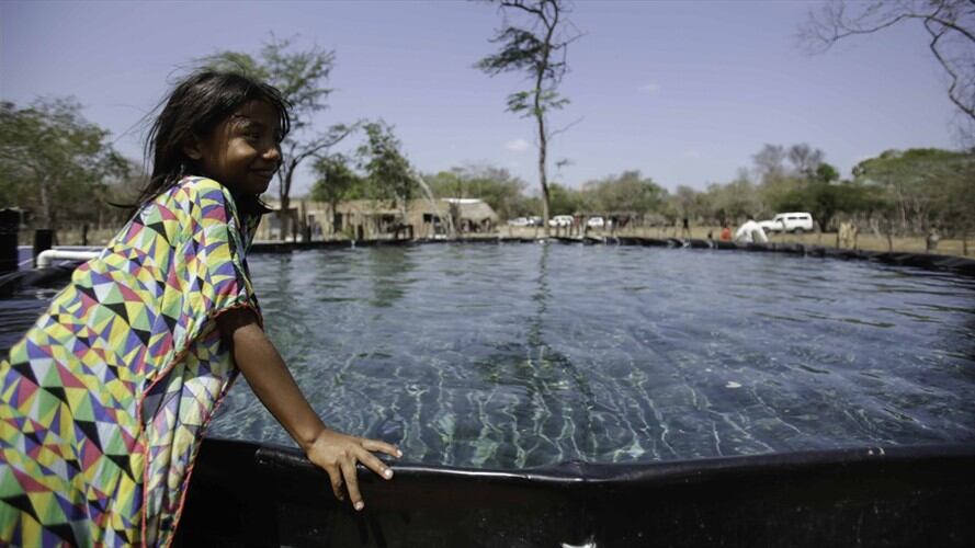 Comunidades indígenas de la Guajira beneficiadas con Agua y Seguridad alimentaria por el Ministerio de Agricultura y Desarrollo Rural.. Foto: Colprensa