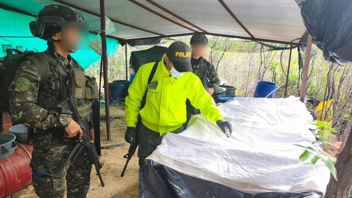 Ejército desmanteló nueve estructuras de droga pertenecientes al ELN en Norte de Santander