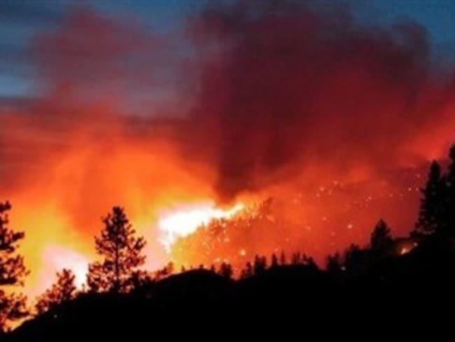Más de 15 hectáreas de bosque arrasadas deja incendio forestal en zona rural de Cúcuta