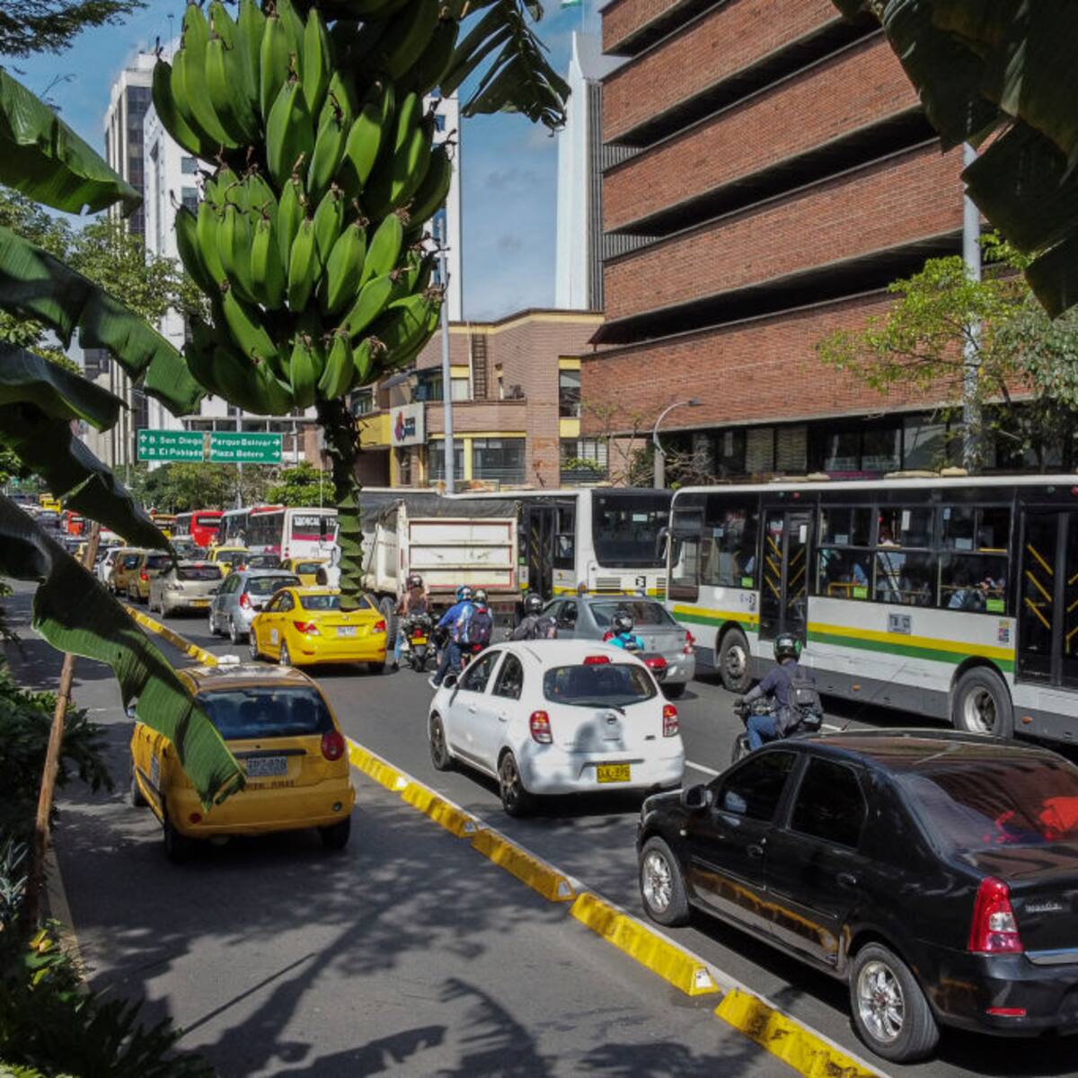 ¡Atento! Rotación pico y placa Medellín y Valle Aburrá: lunes 12 de agosto inician multas