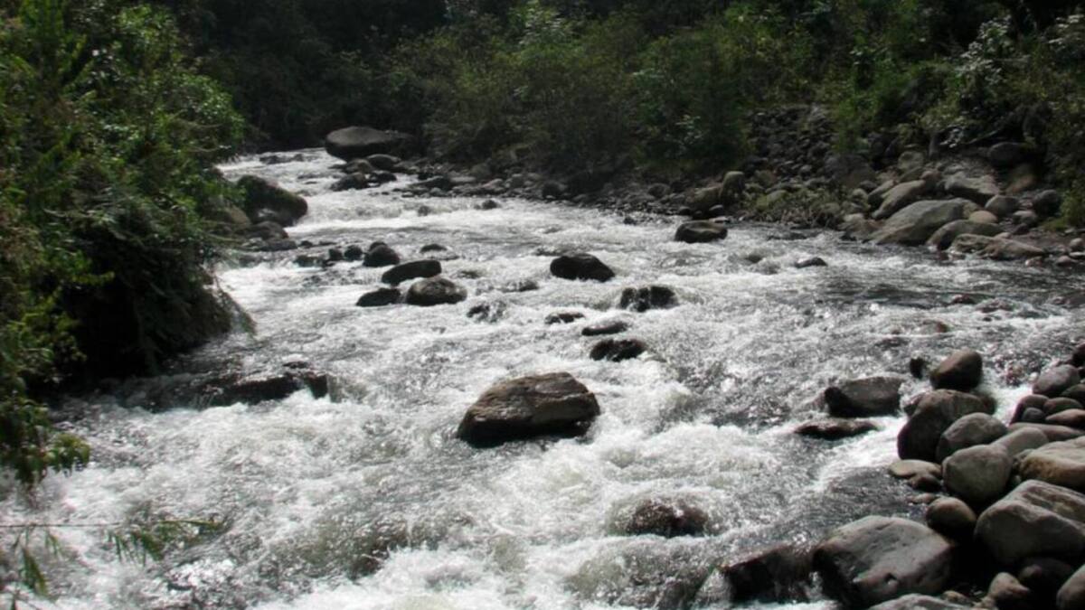 Colectivos sociales de Pereira realizarán jornada de limpieza del río Otún