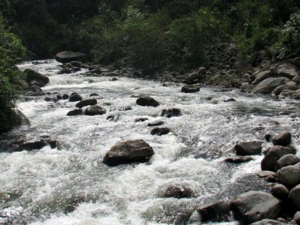 Colectivos sociales de Pereira realizarán jornada de limpieza del río Otún