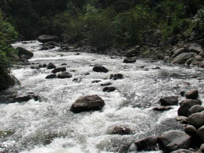 Colectivos sociales de Pereira realizarán jornada de limpieza del río Otún