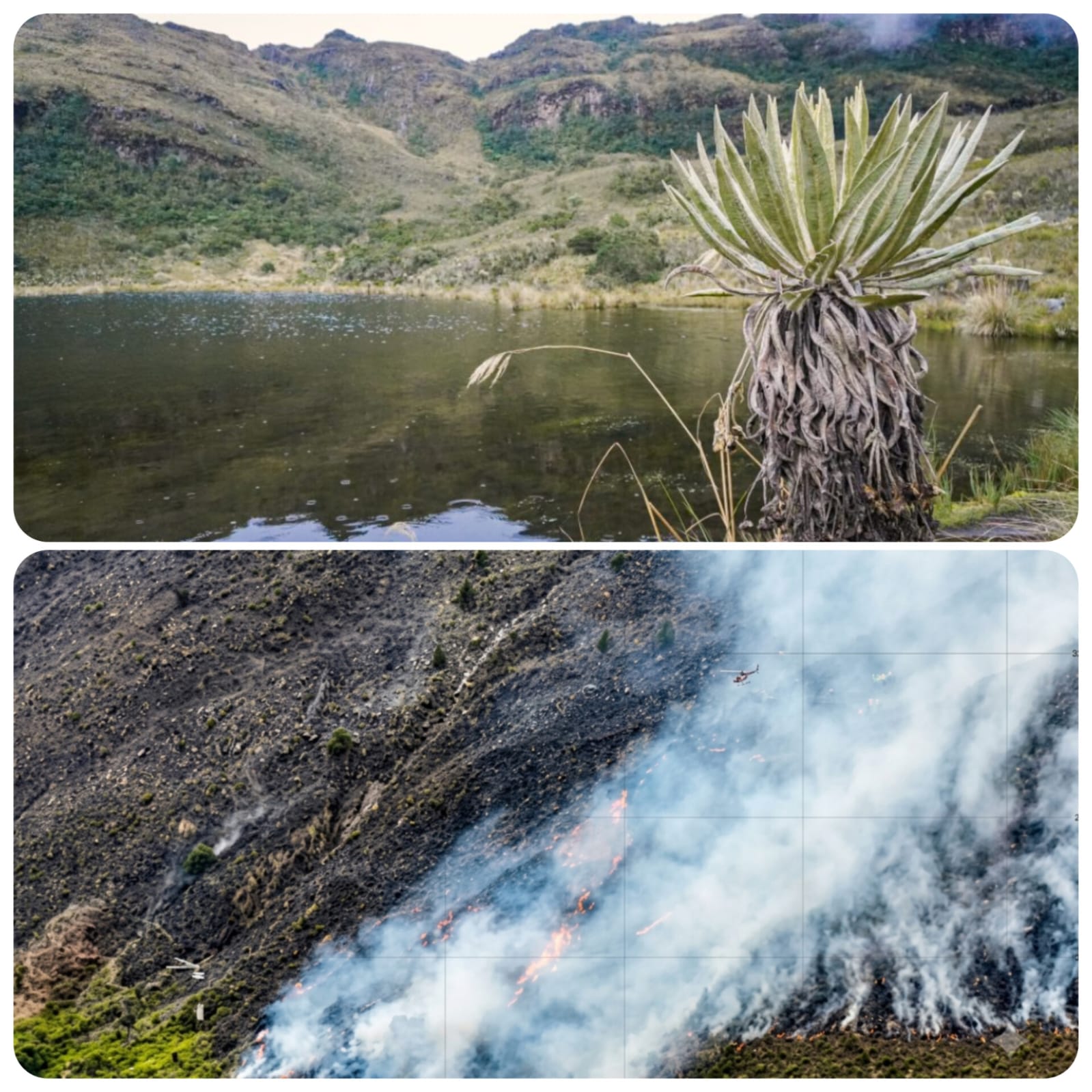 Dos imágenes que muestran el Santuario de Flora y Fauna de Iguaque antes y ahora.